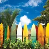 Eurographics 1000 Pieces* - Surfers Paradise Hawaii - 1000 Piece Jigsaw Puzzle